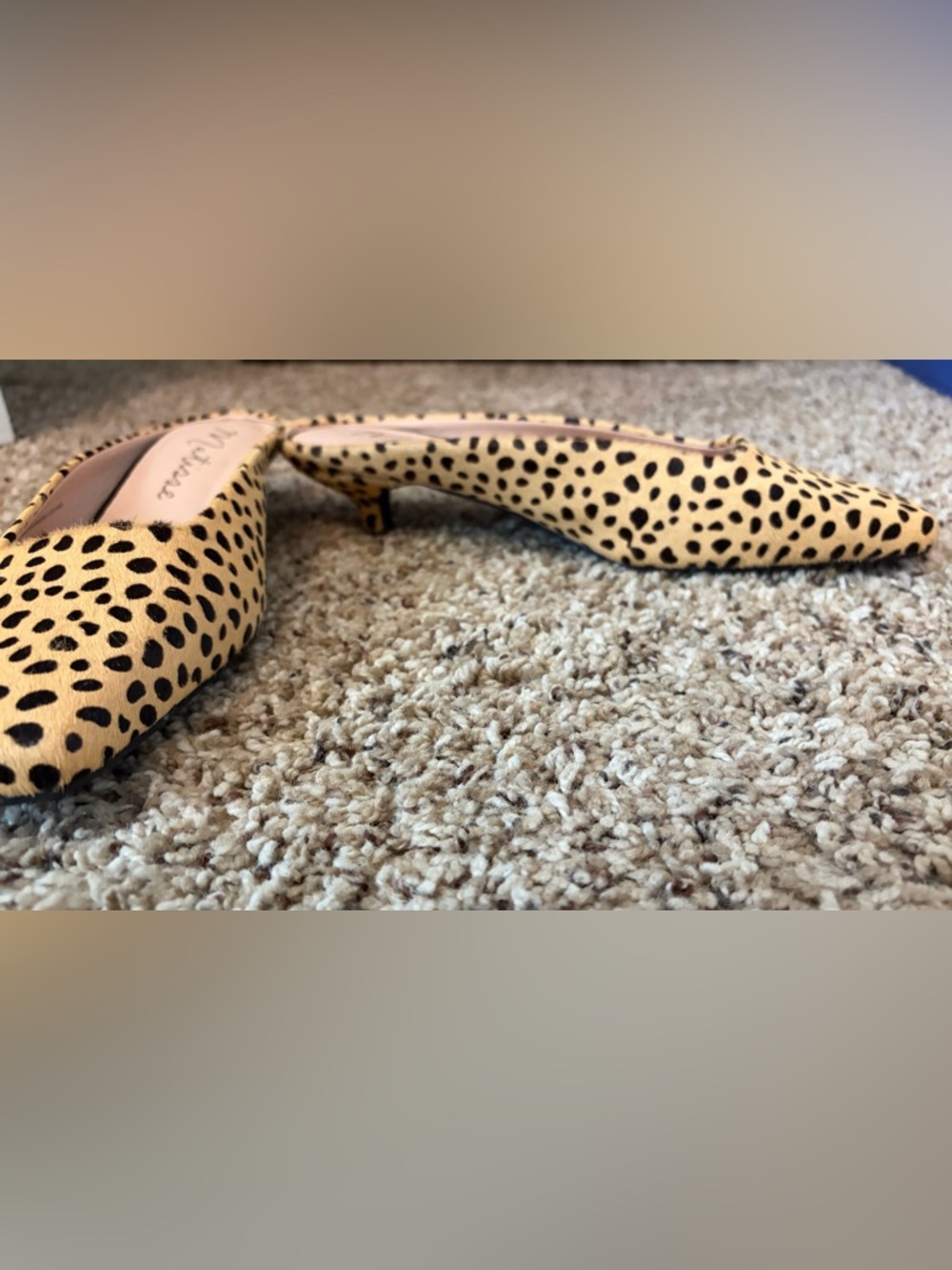 Matisse Cheetah Print Square-Toe Kitten Heel Mule - Picture 4 of 5